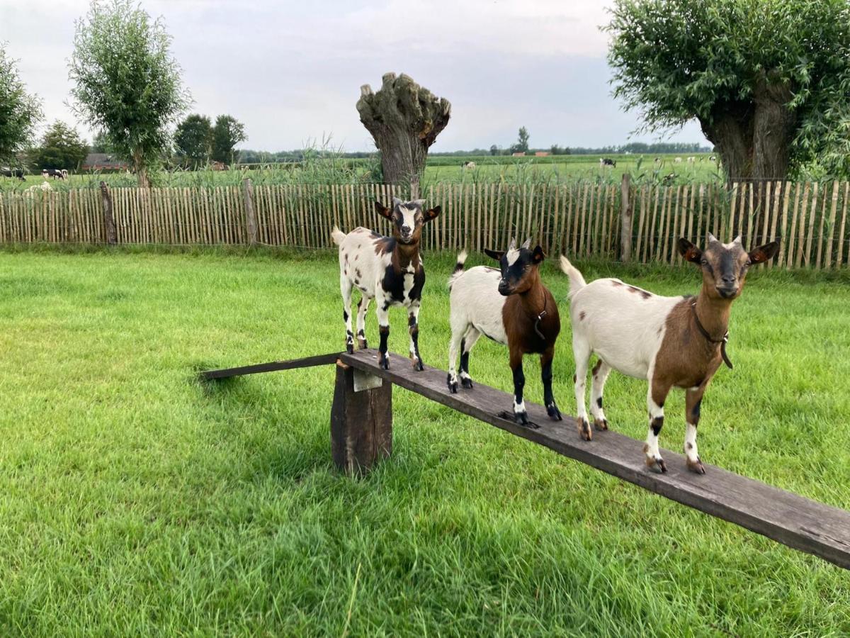 De Burkelhoeve App.A Maldegem Esterno foto